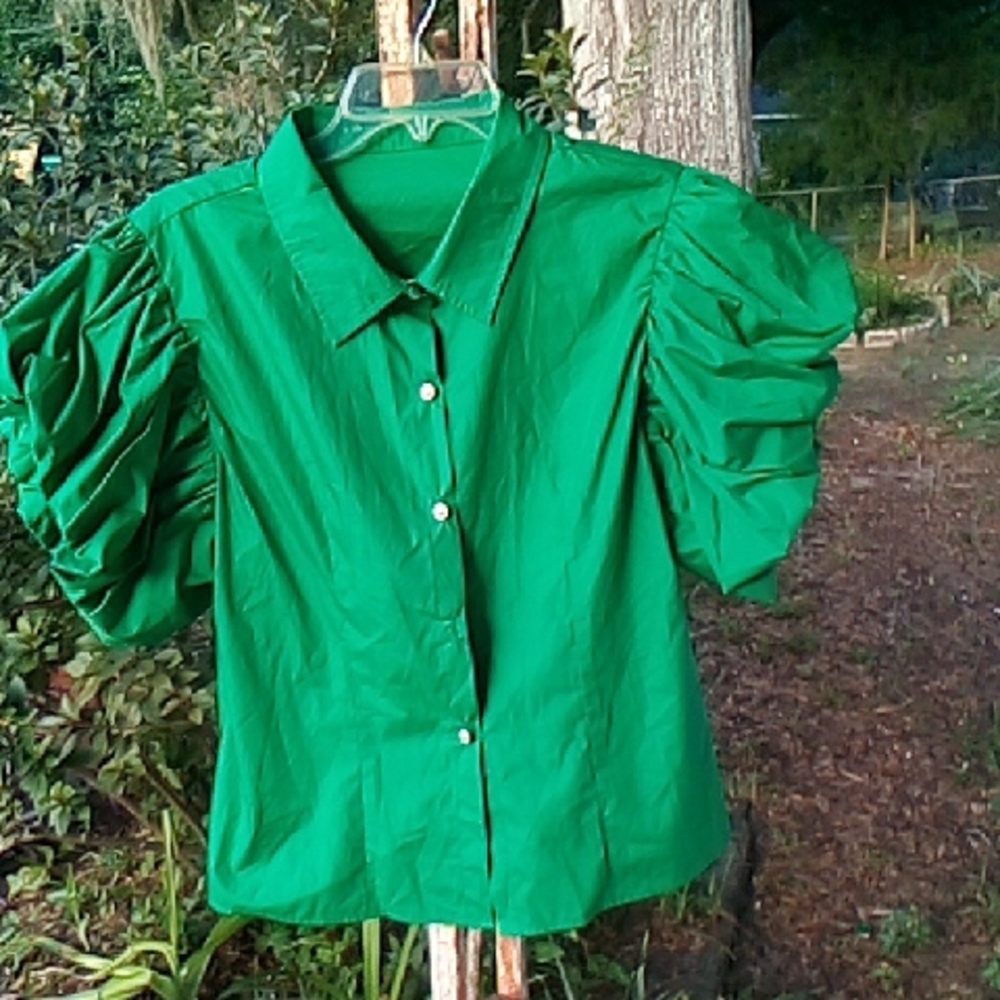 SHEIN Green Button Down Puff Sleeve Shirt